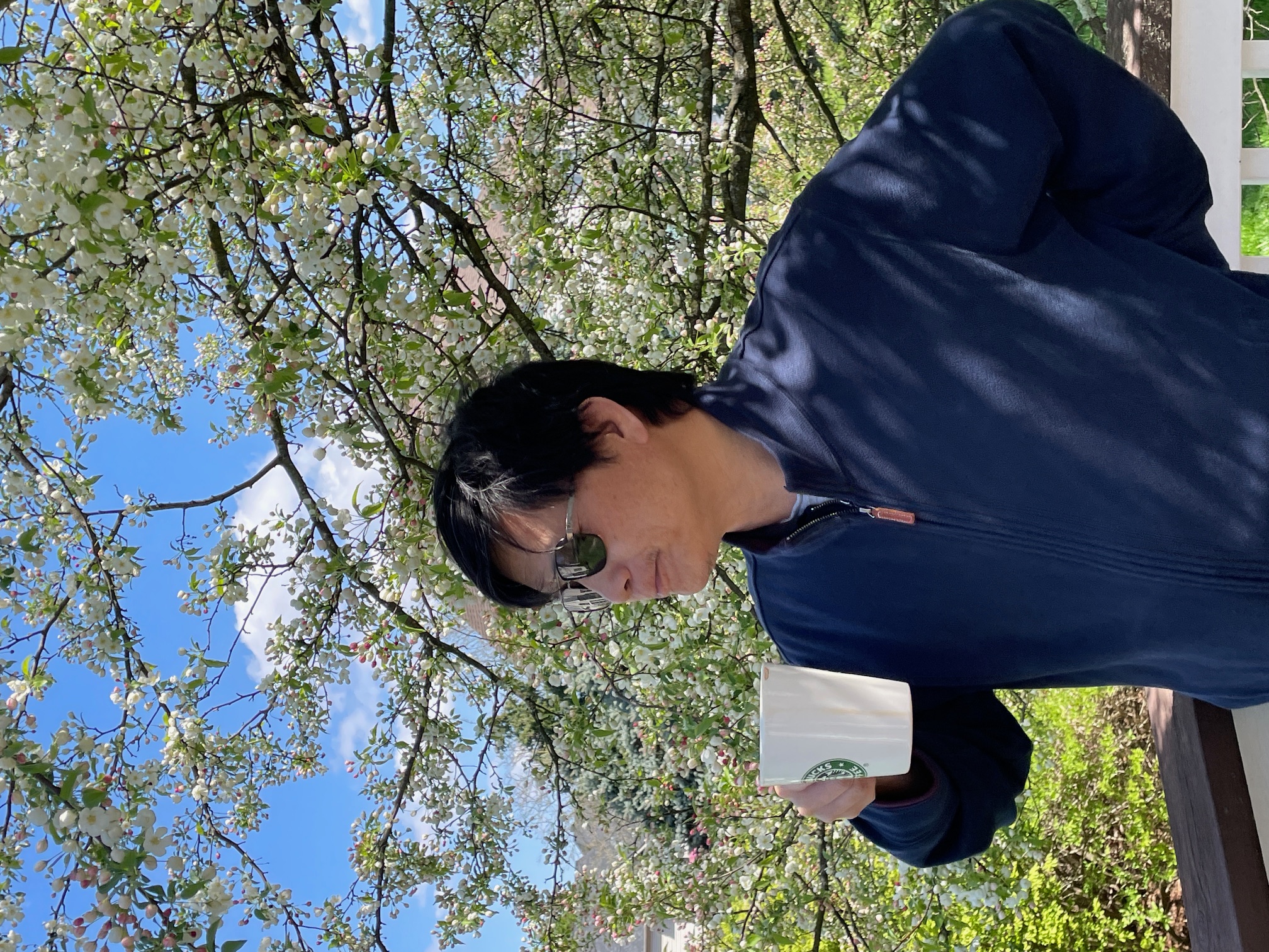 洛城东
