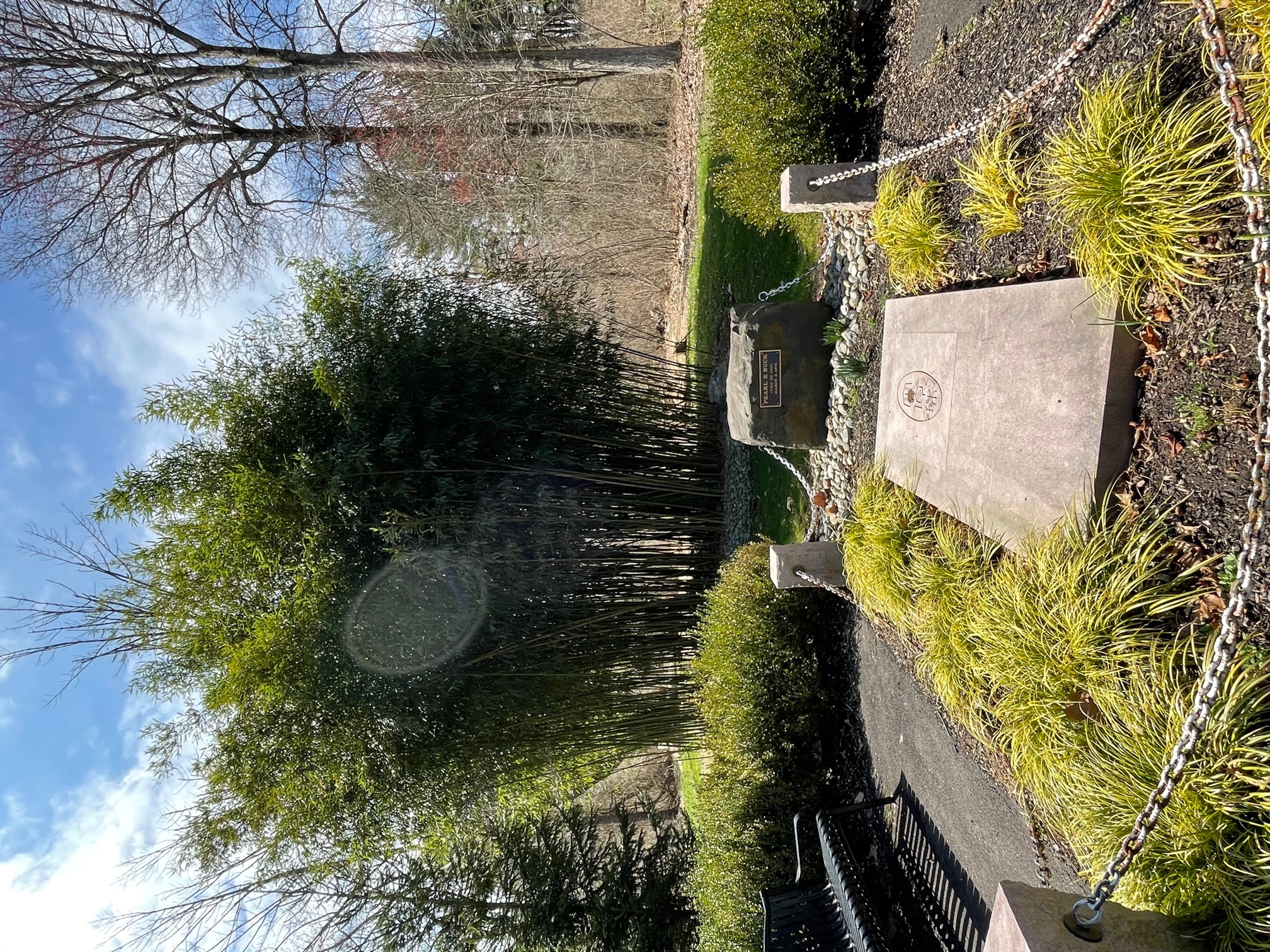 赛珍珠墓地